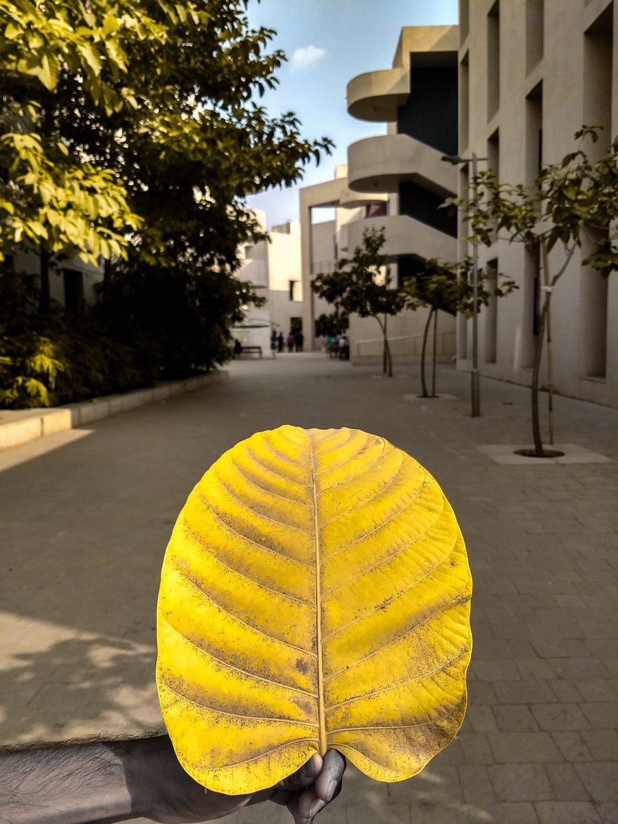 Spring is in the air!
A view from the hostel area.
Have you visited <a href="/iitgn/">IIT Gandhinagar</a>?
#RandomClick
Picture Credit: Amit Solanki