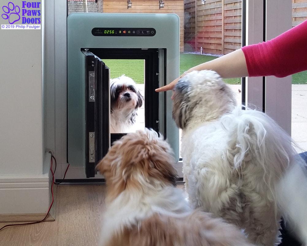 FourPawsDoors tweet media