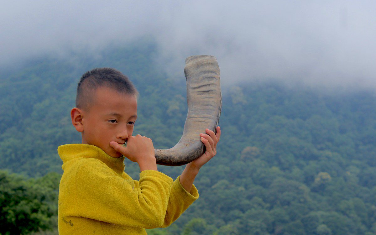 A glimpse from Khonoma in Nagaland!

Here you see young Angami boy practicing to blow a Mithun’s horn. Mithuns acknowledge their master’s call and come for salt licking. 

What a soulful connection it is, no?

#tribals #northeastindia #ruralodyssey