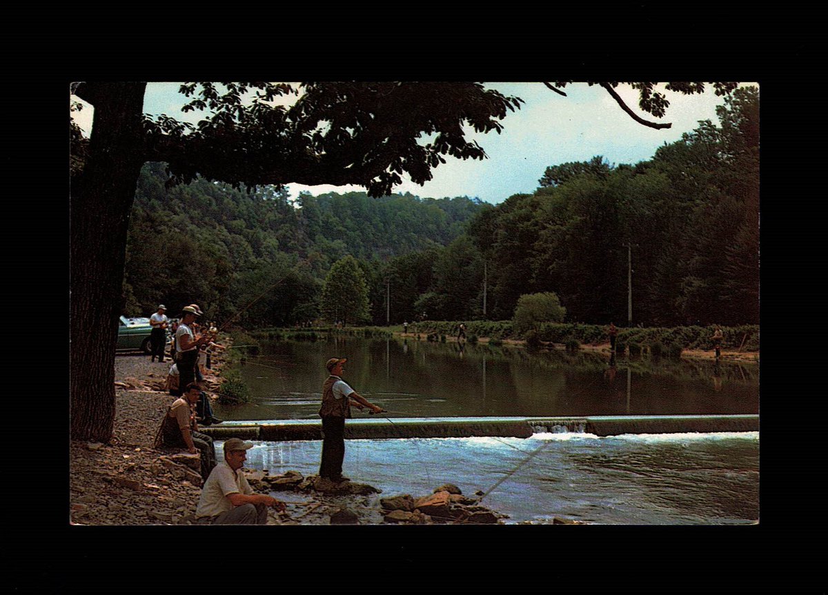 westfourthblvd's tweet image. Pennsylvania Bellefonte Fishermen’s Paradise Spring Creek 1960s Postcard pa5a tuppu.net/a59511c4 #VicsStamps #Etsy #MyNewTag