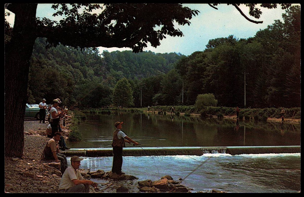 westfourthblvd's tweet image. Pennsylvania Bellefonte Fishermen’s Paradise Spring Creek 1960s Postcard pa5a tuppu.net/a59511c4 #VicsStamps #Etsy #MyNewTag