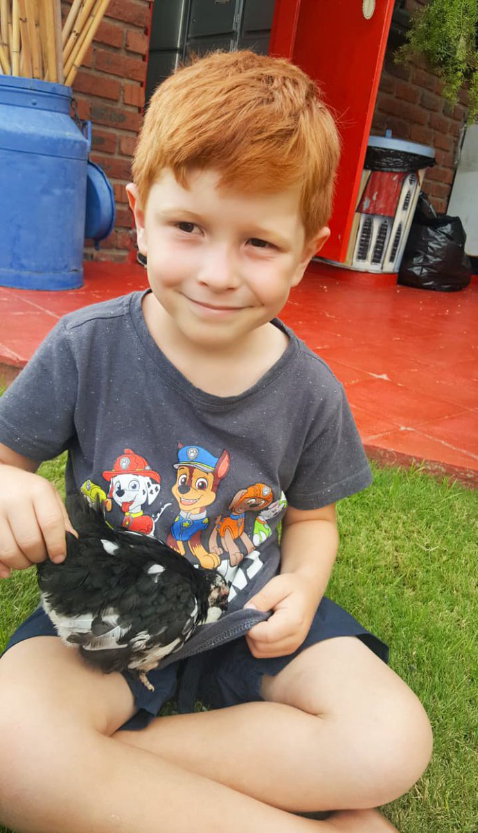 CD_Musgrave's tweet photo. Kleinman geniet nog sy vakansie weg #DagTwee Hy gee sy oorlede oupa se hoenders kos 🐓🐥 #RaisingBoys https://t.co/cyJbyZ8XHB