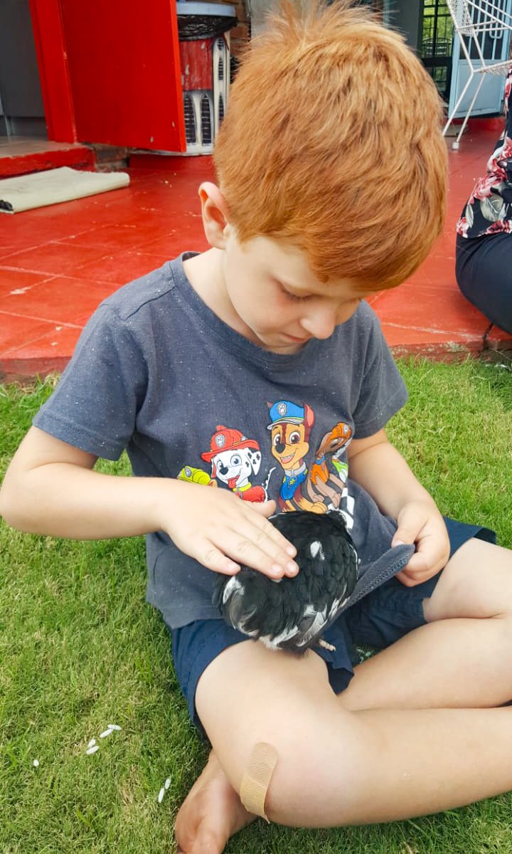 CD_Musgrave's tweet photo. Kleinman geniet nog sy vakansie weg #DagTwee Hy gee sy oorlede oupa se hoenders kos 🐓🐥 #RaisingBoys https://t.co/cyJbyZ8XHB