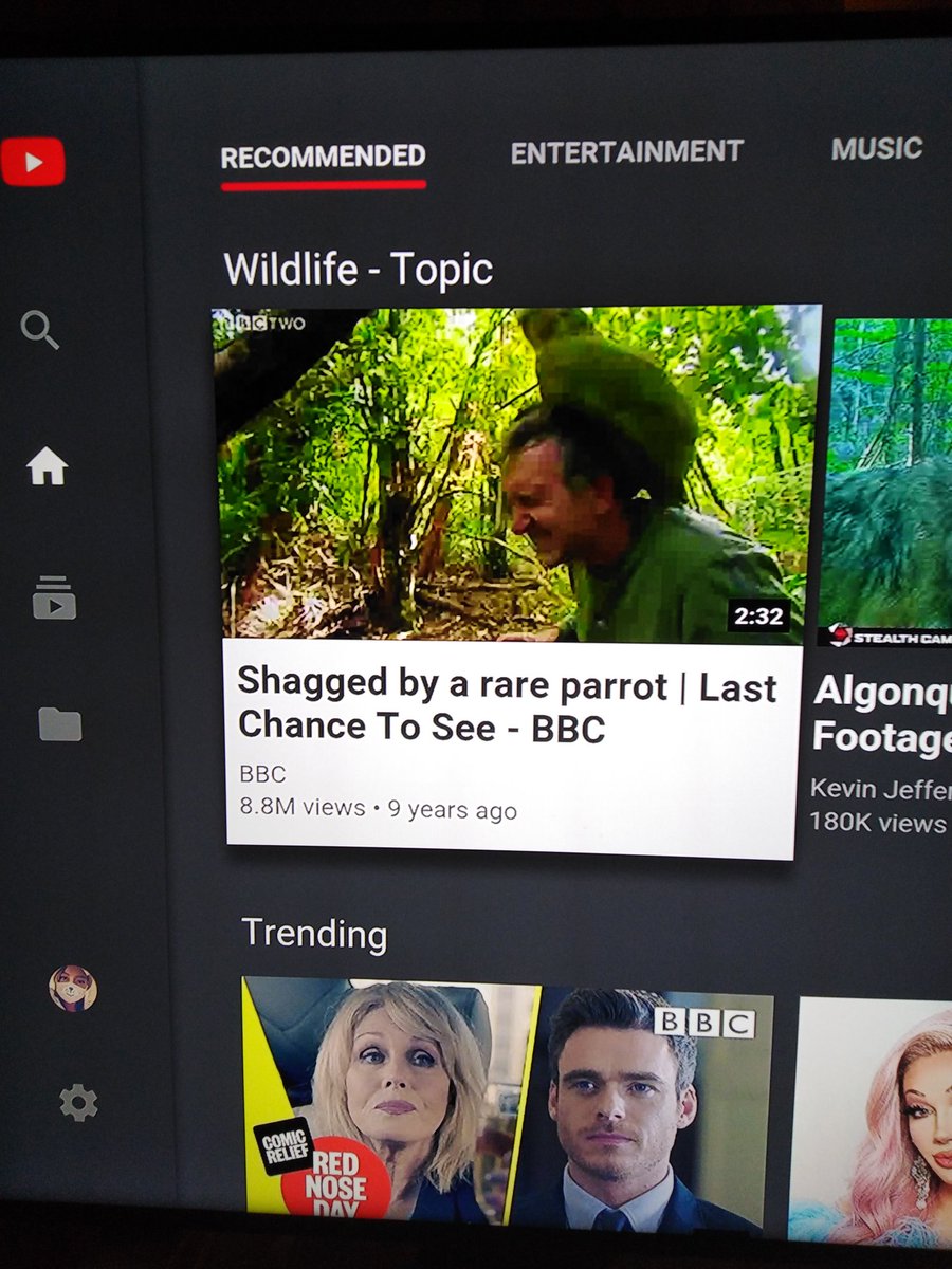 saralouisemillz's tweet photo. Naughty naughty bbc ๐๐ couldn't believe my eyes when a seen it ๐คฃ๐คฃ#brilliant #shagged #rareparrot @BBCScotland @YouTube https://t.co/1DrG8MUDLE
