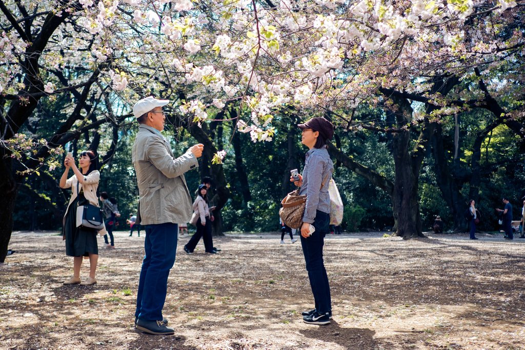 Prochain départ au Japon une place vient de se libérer du 30/03/2019 au 12/04/2019. Attention cette place est en chambre à partager avec une femme donc inscription pour une femme uniquement.bit.ly/VPPJAPONletemp…⁣
⁣419€ de remise
Date limite d'inscription le 25 Mars 2019