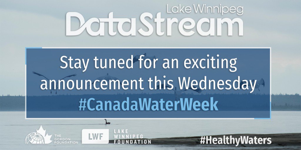 DataStreamH2O's tweet photo. We’re celebrating #CanadaWaterWeek by launching a powerful new tool to help Canadians better understand the health of the Lake Winnipeg watershed.

Stay tuned for an official announcement Wednesday https://t.co/oZmICVNPKZ
#HealthyWaters #LakeWinnipegDataStream CC @SaveLakeWpg https://t.co/GzaSizcCFX
