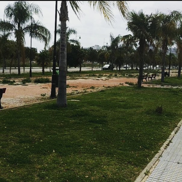 Torremolinos_PP's tweet photo. @margadcm dotará a #Playamar y #CostaLago con zonas lúdico deportivas orientadas al ocio familiar.
Este espacio que comprenderá tanto la avenida Salvador Dalí como Ava Gardner, transformará su degradada imagen en un agradable espacio al aire libre, para uso y disfrute de vecinos. https://t.co/qv6lLEOByv
