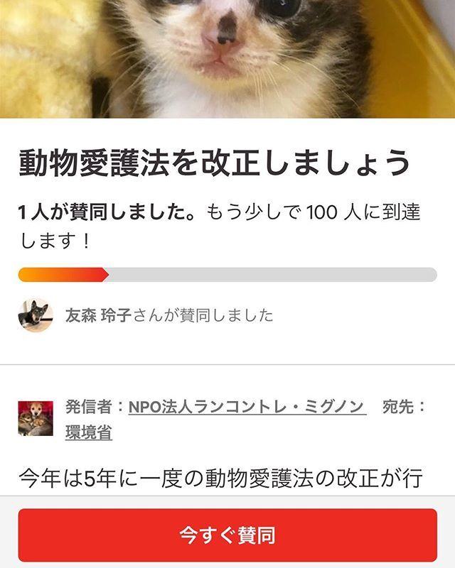 花乃舞 Atikokubon Twitter