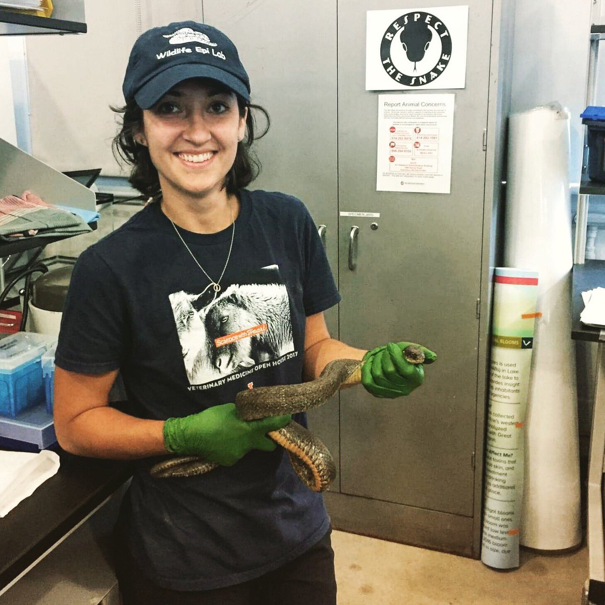 WildlifeEpiLab's tweet photo. #meettheteam Monday! Katie is a second year veterinary student studying field site methods to detect Snake fungal disease (SFD)!!
#respectthesnake #savethesnakes #watersnake #snakefungaldisease #sfd #uiucvetmed https://t.co/6DdtOBkUbp
