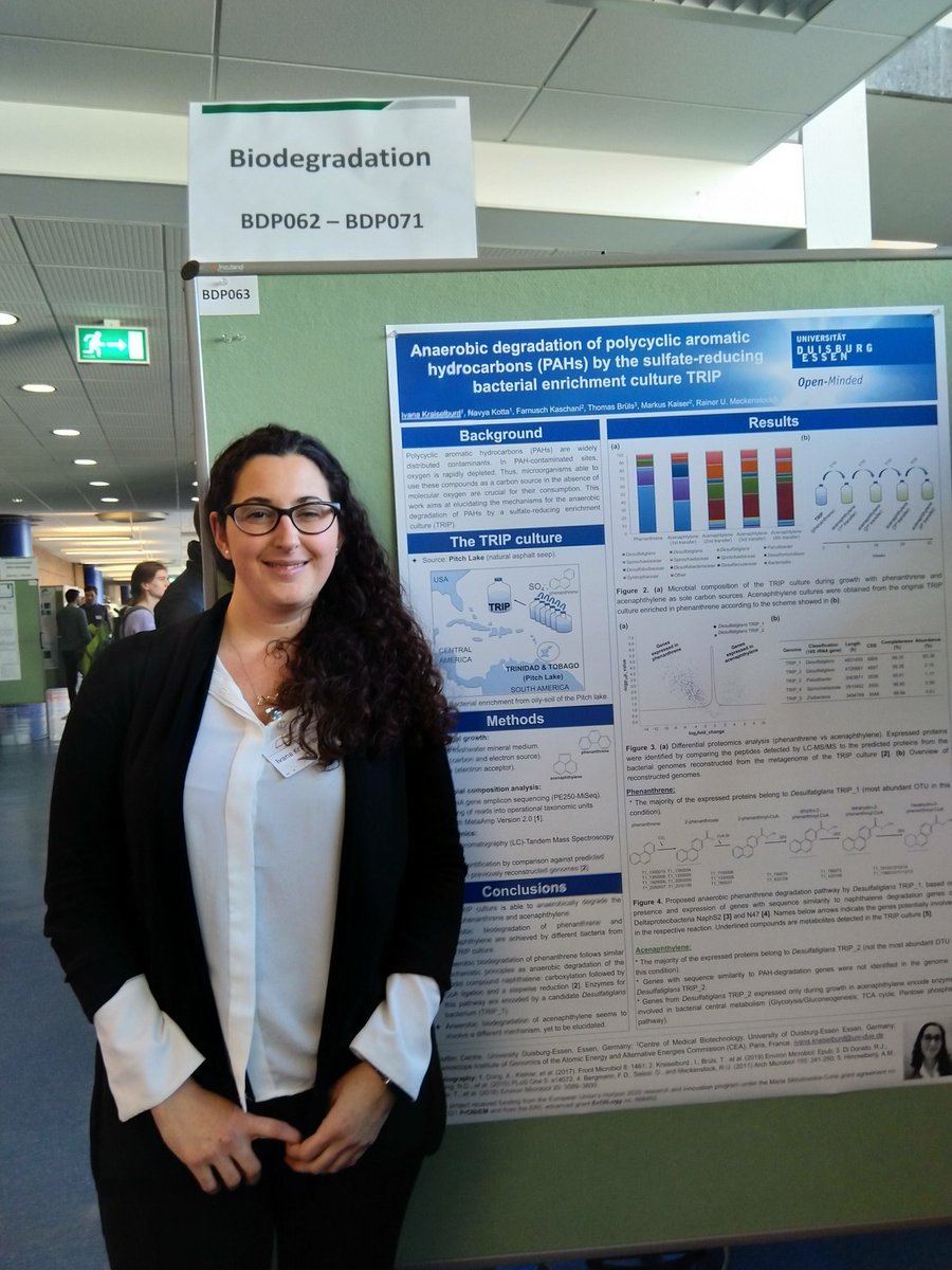 Poster session at #vaam2019