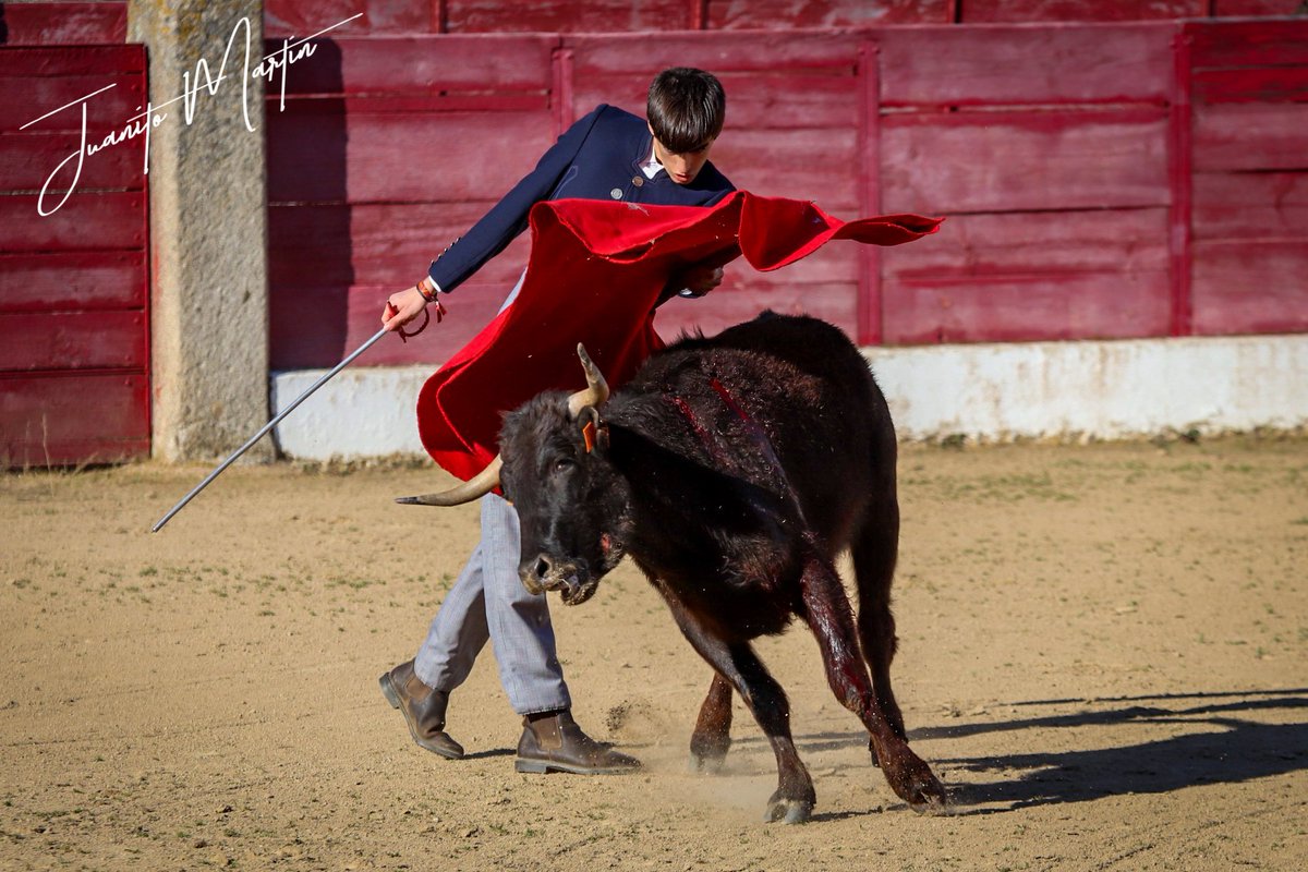 JuanitoMartin86's tweet photo. Ilusión y lucha es lo que demuestra  día tras día estos jóvenes novilleros.
Certamen rosquilla de oro 
Plaza de toros de Ledesma
Vacas de @ganaderiavaldefresno

#bolsin #taurino #ledesma #valdefresno #canon77d #sigma70200 #DetallesJuanito https://t.co/aAf7bhnVQR