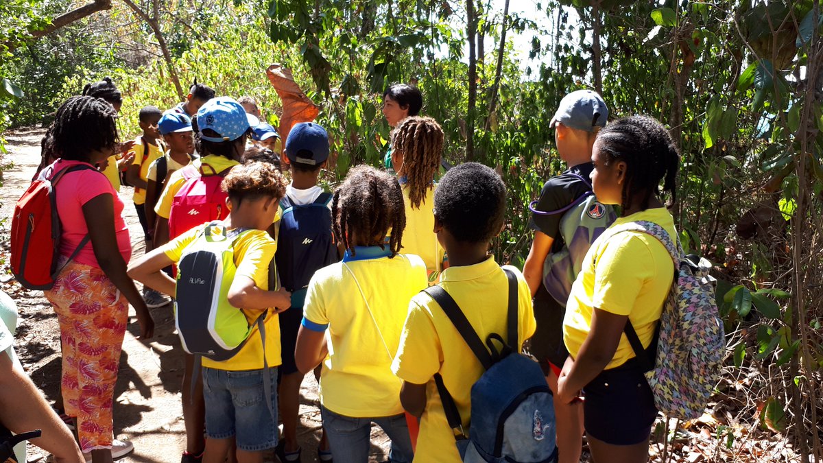 Marcel_PLACIDE's tweet photo. @ONF_Officiel Le projet "Ti-forestié " phase 1 - Graine de Forestier sur site ce matin, à la Pointe Rouge, Tartane. @CircoFdF1 @acmartinique https://t.co/rZunu1u2Nn