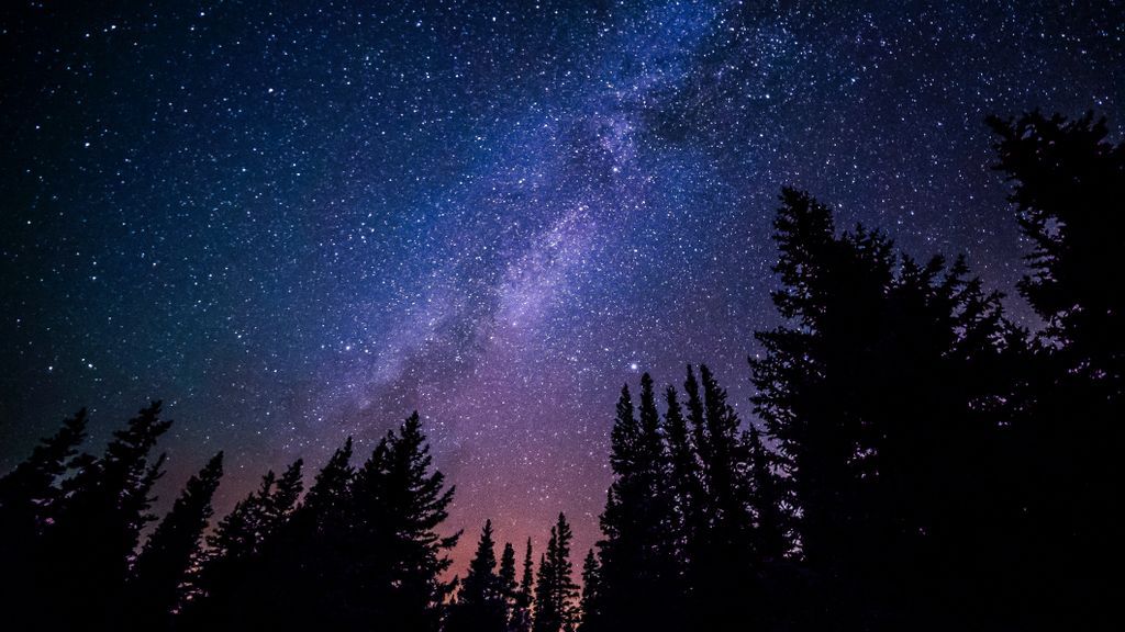 ownercamp's tweet photo. Great ideas don’t happen in meetings or in front of a computer. They show up hiking a nature trail, over dinner or under the stars. https://t.co/In8Y93a0My https://t.co/OVdkU9Wd5j