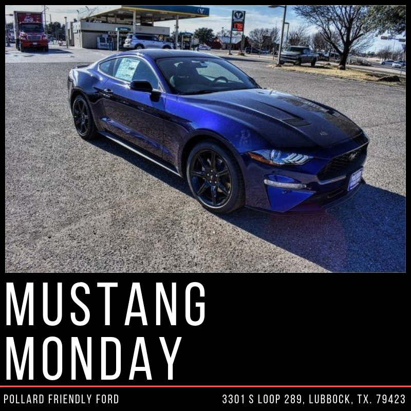 pollardfordlbk's tweet photo. #MustangMonday: Who's ready for a test drive in this bad boy? Visit us online to learn more about our 2019 Ford Mustang Ecoboost Coupe: https://t.co/EGxpyA4DBp #Ford #Mustang #FordMustang #Monday #PollardFord #FriendlyFord #Lubbock #Texas #SportsCar https://t.co/v0NHDCV00r