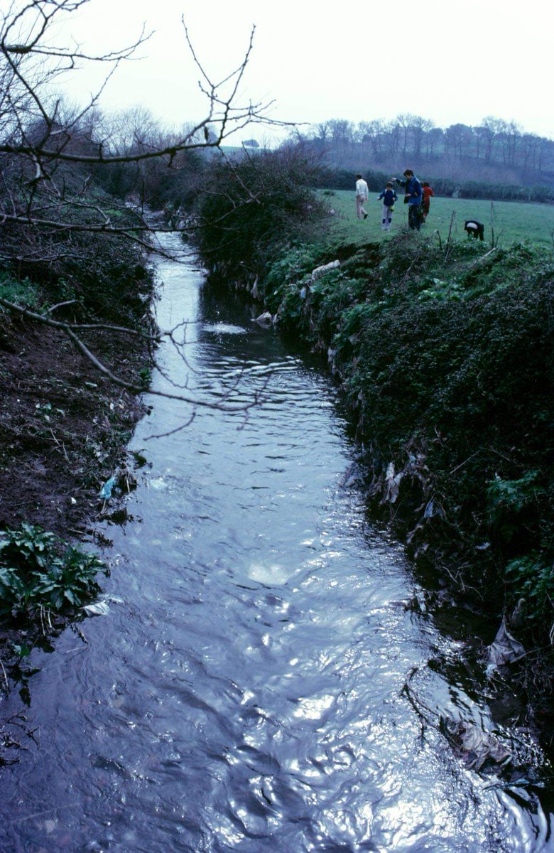 novelli5stelle's tweet photo. Fra poco in @ConsiglioLazio si discuterà e voterà la #mozione sul contratto di #fiume Almone https://t.co/xjeBLXtKrq
#agricoltura #ambiente #ottavanota #acqua #18marzo https://t.co/jJbh9zBzX0