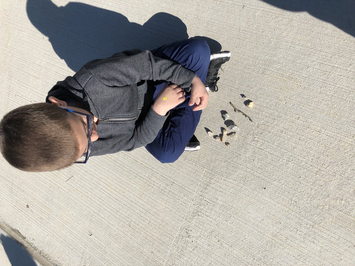 favalea10's tweet photo. Using nature to find partners of ten #math #nature #environmentalconnections @LHESPrincipal @LJWood_LHECMES @LHECMES https://t.co/TTyPYRfhGJ