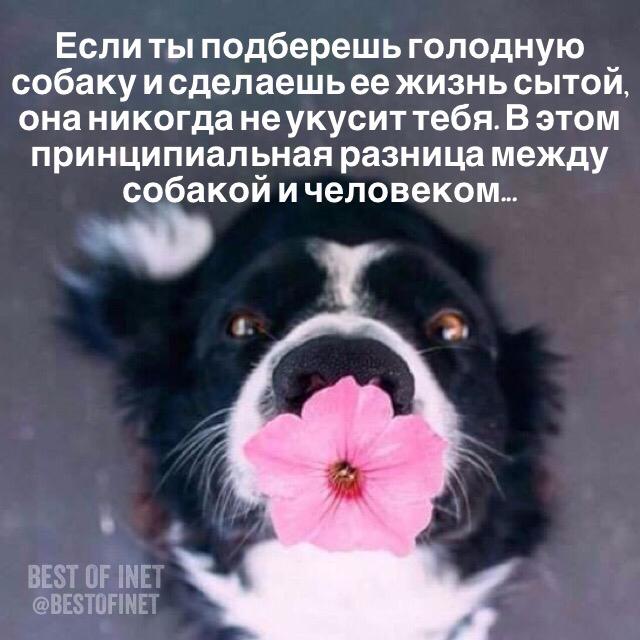 Лучшие высказывания tweet media