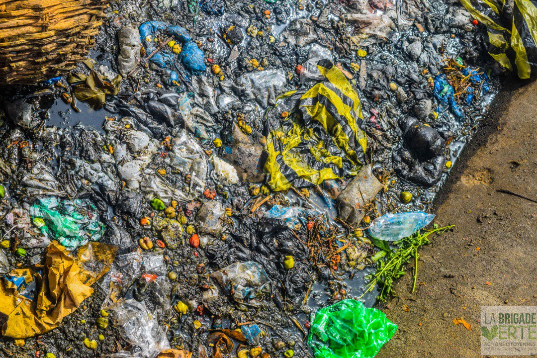 VerteBrigade's tweet photo. Après notre descente au cœur du marché Dantokpa, nous revenons (en images) pour alerter sur le péril environnemental constaté sur les lieux. En effet, les caniveaux bordant le site de vente de condiments sont jonchés de détritus issus des riverains et des vendeuses. https://t.co/yJzpPKG5pI