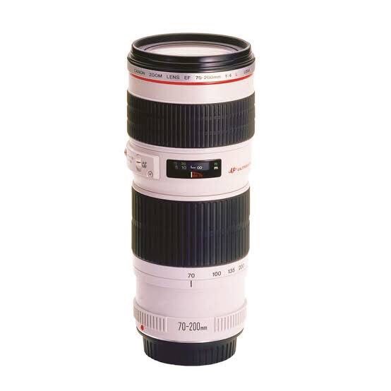 DEARMY716's tweet photo. plz RT
本日3月18日2部公演にてカメラの盗難が発生しております。canon80Dレンズは70-200mmのf4で特徴は上のダイヤルが無い状態です。座席は雛壇の最後列(以前の8列)音響横の4番です。その付近で不審な動きを目撃した方や、少しの情報でもいいので何か心当たりがある方はDMまで連絡お願いします。
#14U https://t.co/d8xz4fLPL9
