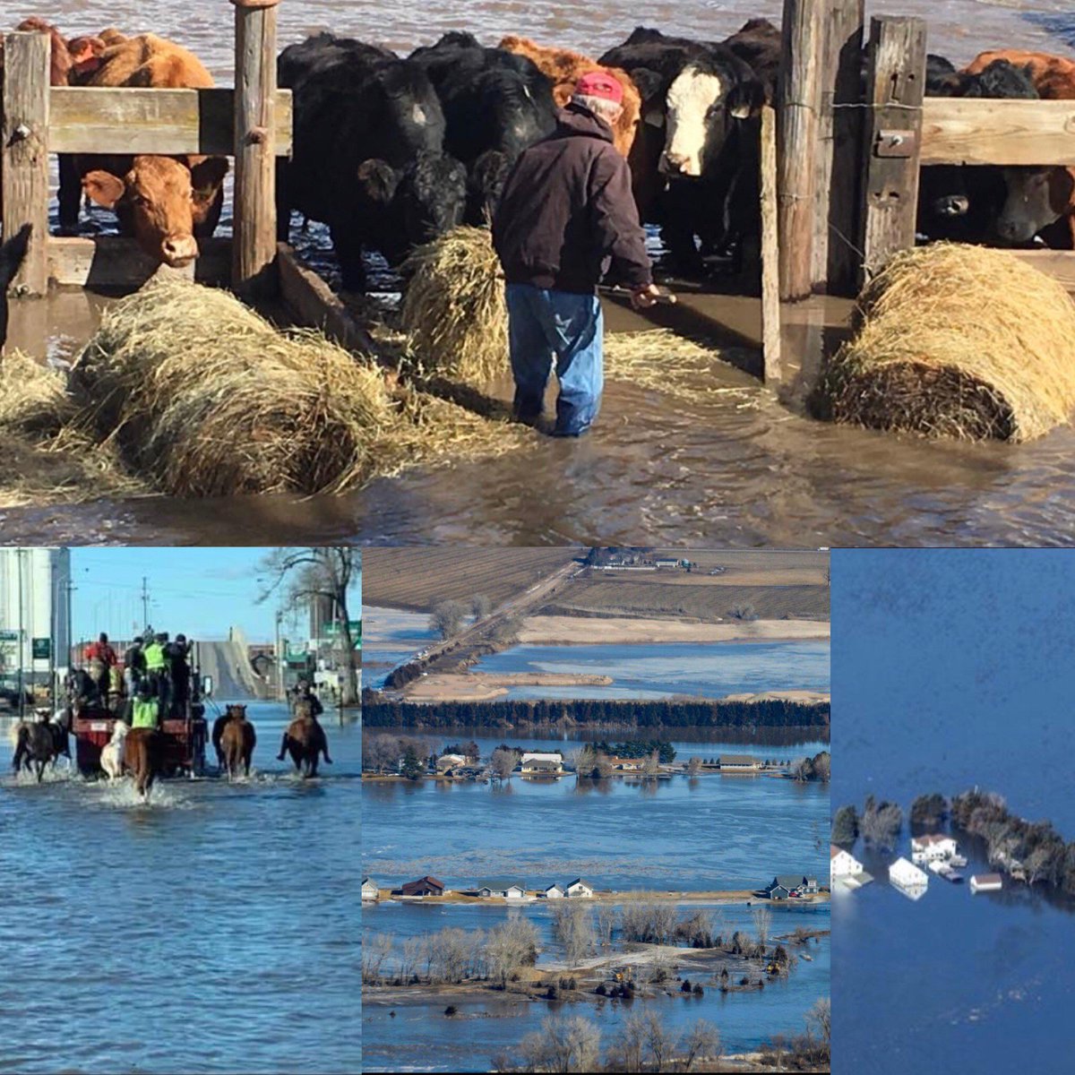 With an office in NE, it's hard to put into words all the damage done this past week in Nebraska and surrounding Midwest states. Thoughts and prayers to all the affected communities and first responders and volunteers as they fight to save their towns. #nebraskastrong #positivity