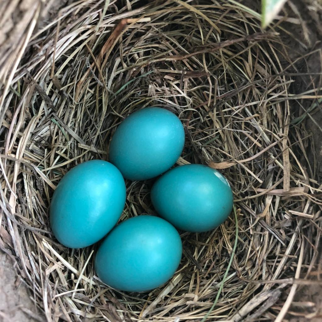 JoanneGore121's tweet photo. The average #B2B lead costs about $200. EACH. Here are 4 ways to maximize your #marketing and #sales budget, increase #leadconversions and hatch revenue: https://t.co/FPq6tZPQy9 #Print #leadgeneration #CPL #CX https://t.co/K5A6hvss7Z