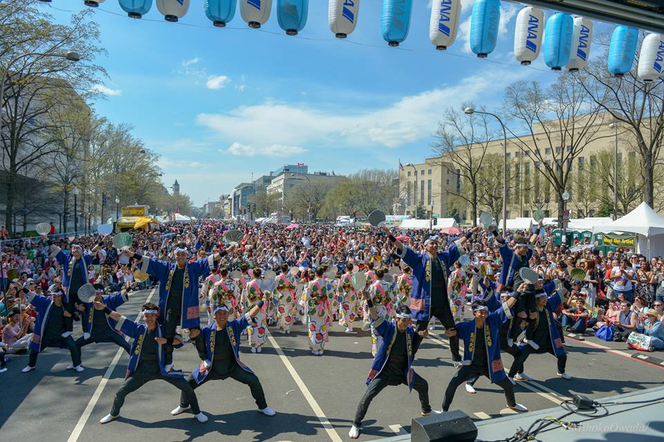 Official Sakura Matsuri - Japanese Street Festival tweet media