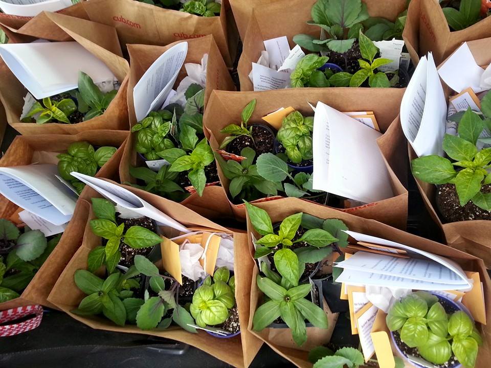 tinyfieldsproj's tweet image. Tiny Fields applications are open! Go to tinyfields.org.