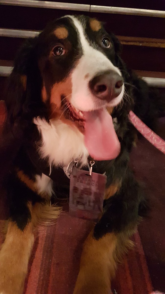 JRamsaysDarling's tweet photo. Proud trencher 😍💖 she is excited to meet you guys! @JoshRamsay @mtrench @MattWebbMT #SuspendingGravityTour #MarianasTrench #VIPdog https://t.co/Ugi6hMA7nG