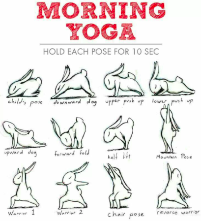 BlacktoeO's tweet photo. Bunny Yoga https://t.co/JyUIp72FIx