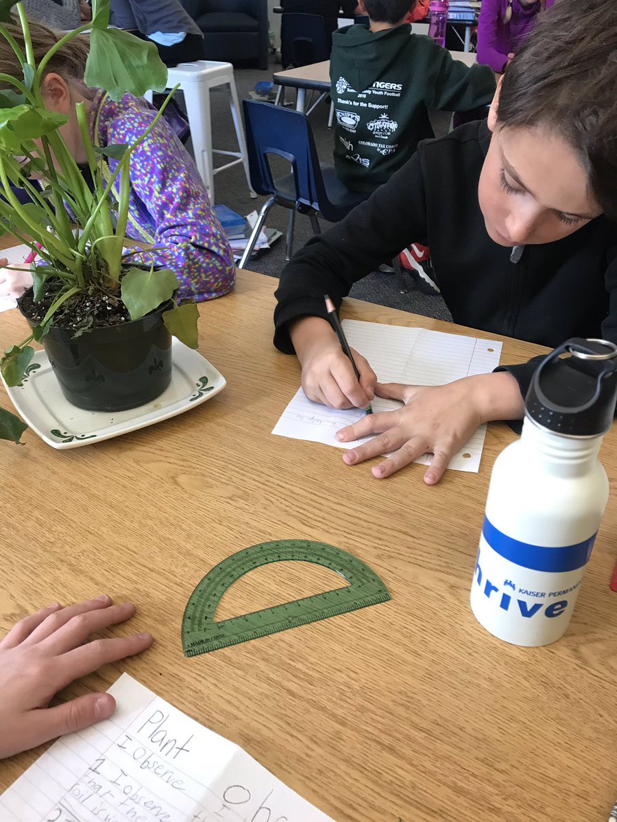 prosisefrisco's tweet photo. Making observations about the structures of different plants.@STEMFrisco @FREprincipal https://t.co/TyhniCNX0v