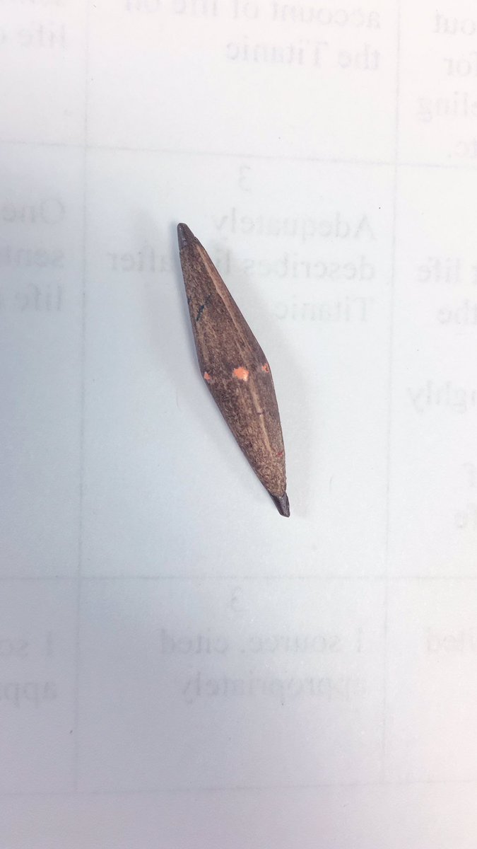 MissCEaton's tweet photo. Check out the pencil I just found on my floor! Maybe I’ll save this for the next kiddo who asks to borrow one. ✏️😂 #tinypencil #teacherlife #canIborrowapencil #kidsarefunny #middleschool #teacherprobs https://t.co/uYPHIf1RKT