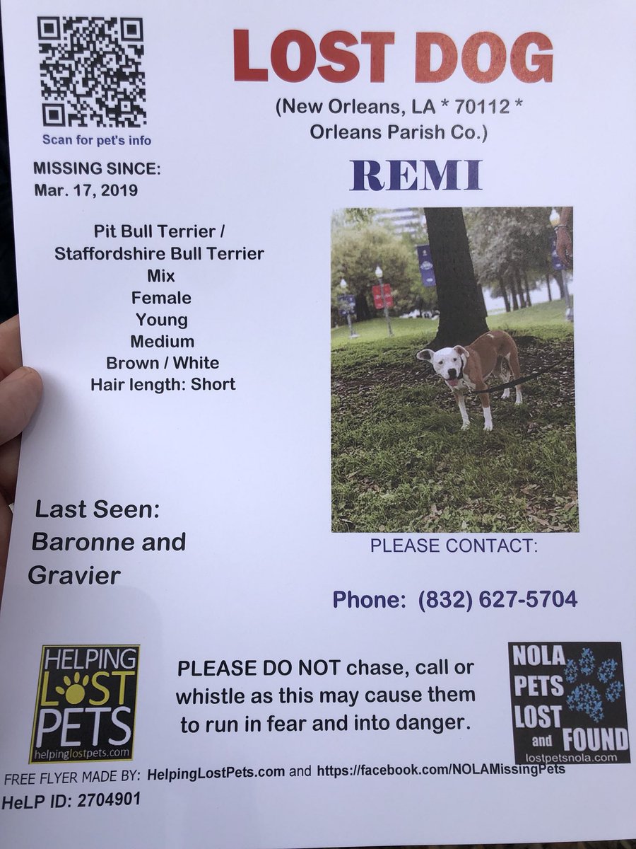 ZeusPlace's tweet photo. LOST DOG courtesy post: Remi went missing Sunday near the intersection of Gravier and Baronne Streets. She is a 4 year old, white and brown pit mix. If you see her, please call 865-661-5212 or 865-898-5212. #lostdog #missingdog #missingdogalert  #dogmissing https://t.co/tq6wg6UQtC