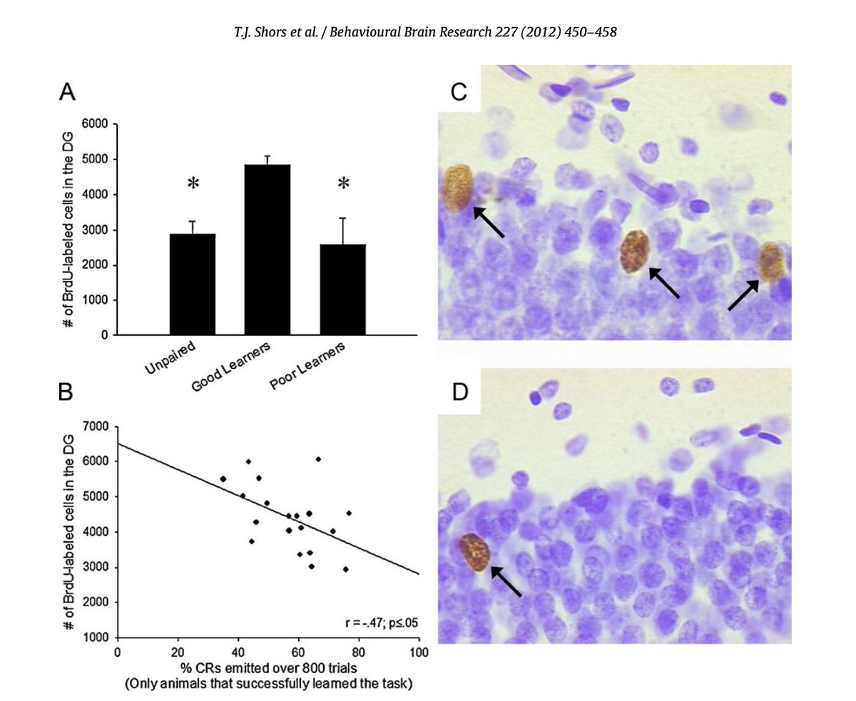 free new frontiers in free new frontiers in mammary pathology