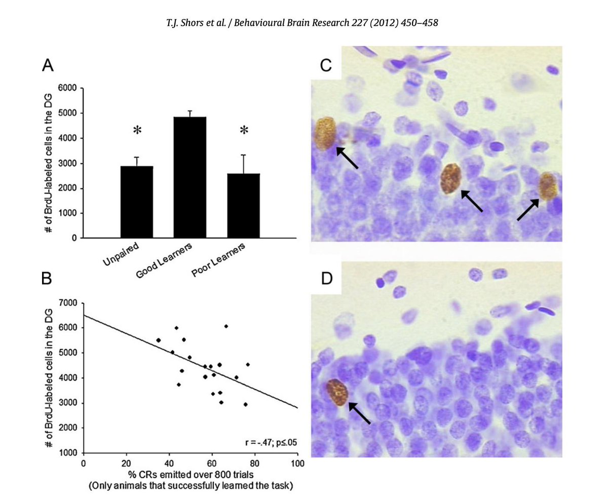 free new frontiers in mammary pathology