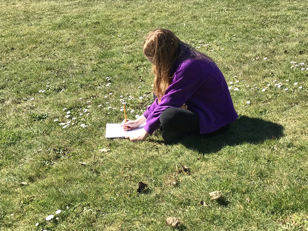 BigDogTeacher's tweet photo. Using amazing weather for language rich descriptive writing of something in nature #TeachInlay #BrainsEngaged #20ftaway #silent #lookthinkwrite https://t.co/8Nw3FT8nW2