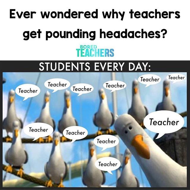 Bored_Teachers's tweet photo. All day, every day. https://t.co/SydnYEE0U3