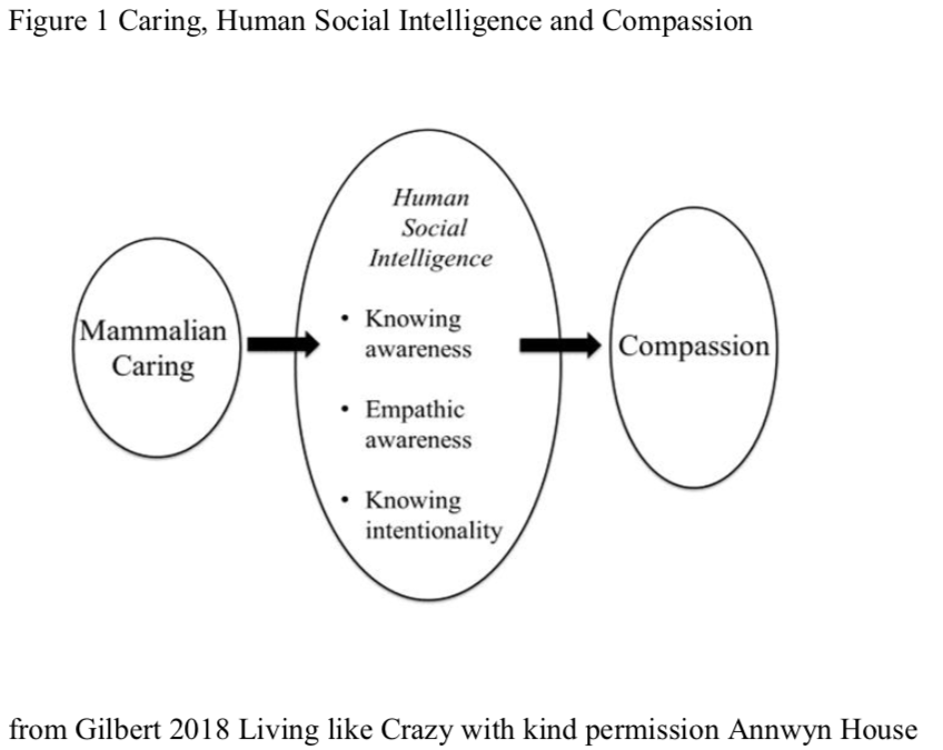 mindandlife's tweet photo. The definition, operationalization, and measurement of mindfulness in science are influenced by historical, social, economic, political, and technological factors. Unpack the complexity w/ Paul Grossman in this week's essay. #MindRxivMondays @MindRxiv https://t.co/cuXrlkSu4M https://t.co/8MuezYO9hb