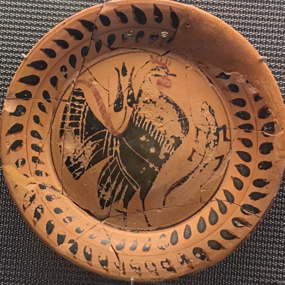 dr_bone_lady's tweet photo. Does art deliver life? Lots of lovely chickens in the Acropolis Museum, but @FlintDibble tells me they don’t find the bones. @Chicken_project https://t.co/qSjaItTSLg