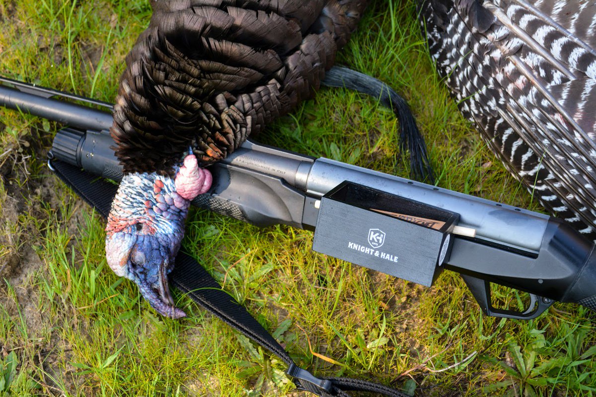 Turkeys judge you by your vocabulary.
Be fluent. Here's some turkey vernacular to help you sharpen up. -------&gt; ow.ly/pNUv30o5Ec6