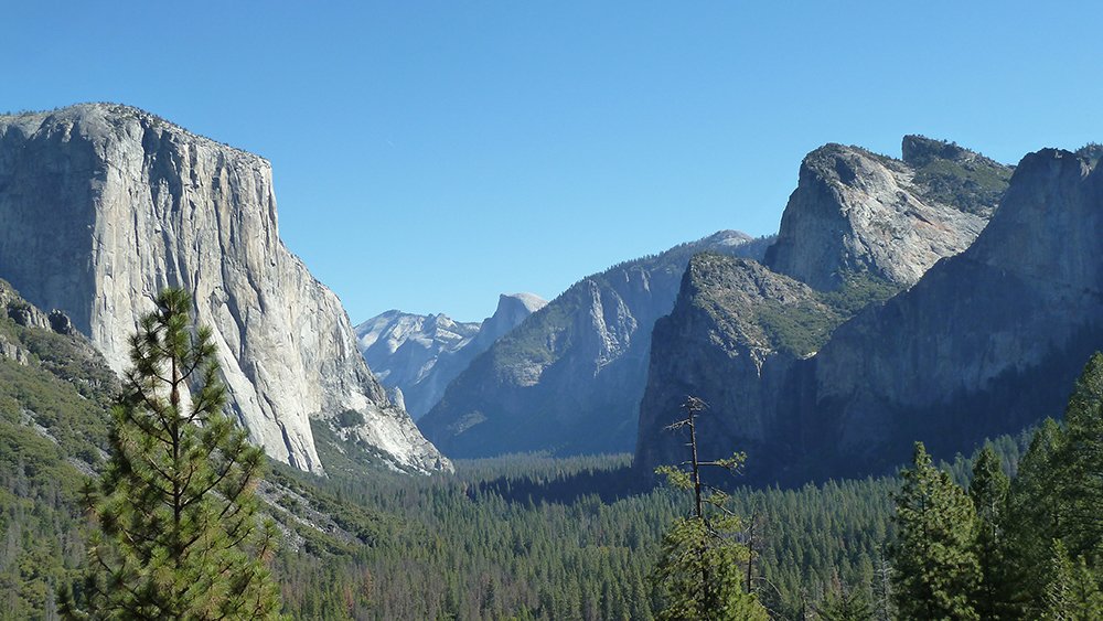 Beat the doldrums of March: Take a virtual trip with an exuberant plantsman! Our travelog series kicks off this Wednesday 3/20 at 5:30 with a lecture and slideshow by our Executive Director, Tim Boland. $10 ($5 for PHA members). bit.ly/2FkwDV0