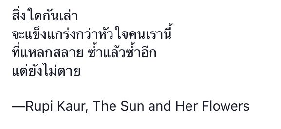 Your Sunflower tweet media