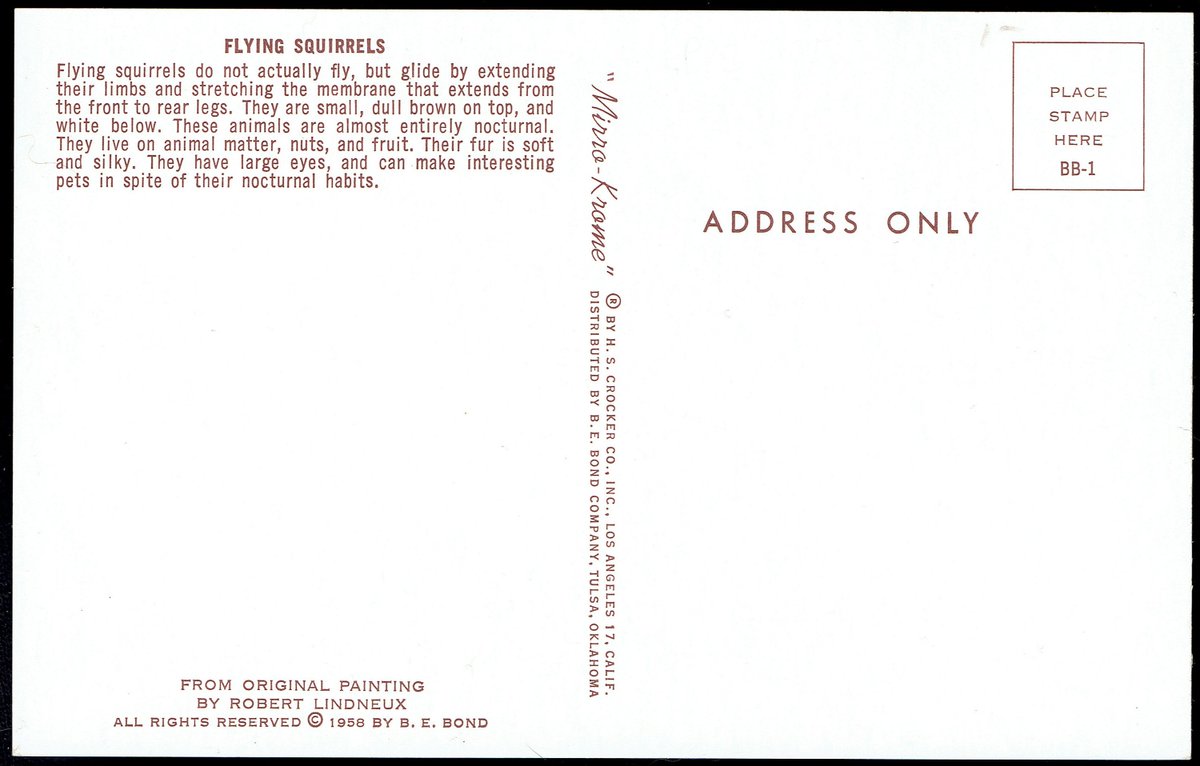 westfourthblvd's tweet image. Flying Squirrels from Painting by Robert Lidneux 1958 HS Crocker Co Postcard pc116 tuppu.net/7c8e10c3 #VicsStamps #MyNewTag #Etsy