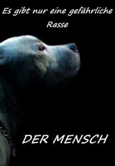 🐾 Wie wahr. Beschämend... 😔