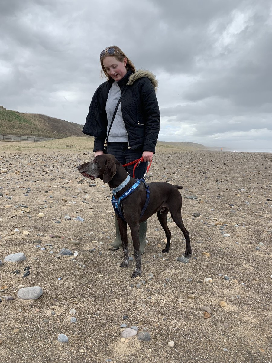 theonlywayisD's tweet photo. Arnie 

He’s a absolute blast 

ADOPT HIM PLEASE 😬 

@the_blue_cross @bluecrossthirsk https://t.co/nAYsFmbmdf

#bluecross #bluecrossvolunteer #bluecrossdog #rescuedog #adoptdontshop #adoptables #saltburn #beachday #happymonday #pointer #rescuepointer #germanshorthairpointer https://t.co/JvaMnQPH3y