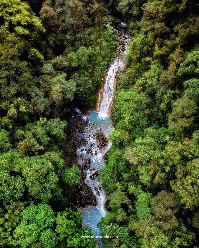 RichCoastVIP's tweet image. The view is always better from the top of the mountain 💚👌.
.
Cataratas Las Gemelas #Waterfalls
📍 #BajosDelToro, #Alajuela 🇨🇷.
📸 @ottiux
.
.
.
.
.
.
.
.
.
.
.
.
.
.
.
#costarica #vacation #travel #visitcostarica #travelinspiration #beautifulplaces #pu… ift.tt/2Fbg4JV