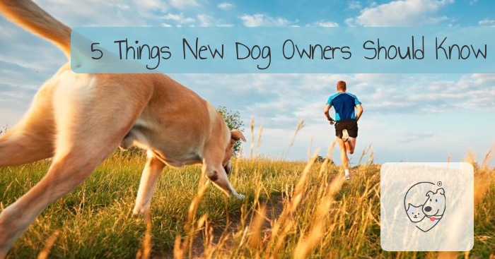 5 Things New Dog Owners Should Know
**before** bringing home a four-legged friend. With research, you can make sure that adopting a dog is the right choice!
softspotapp.com/5-things-new-d…

#dogs #pets #vets #dog #veterinary #petparents #petcare #petcareservices #petparent #petstyle