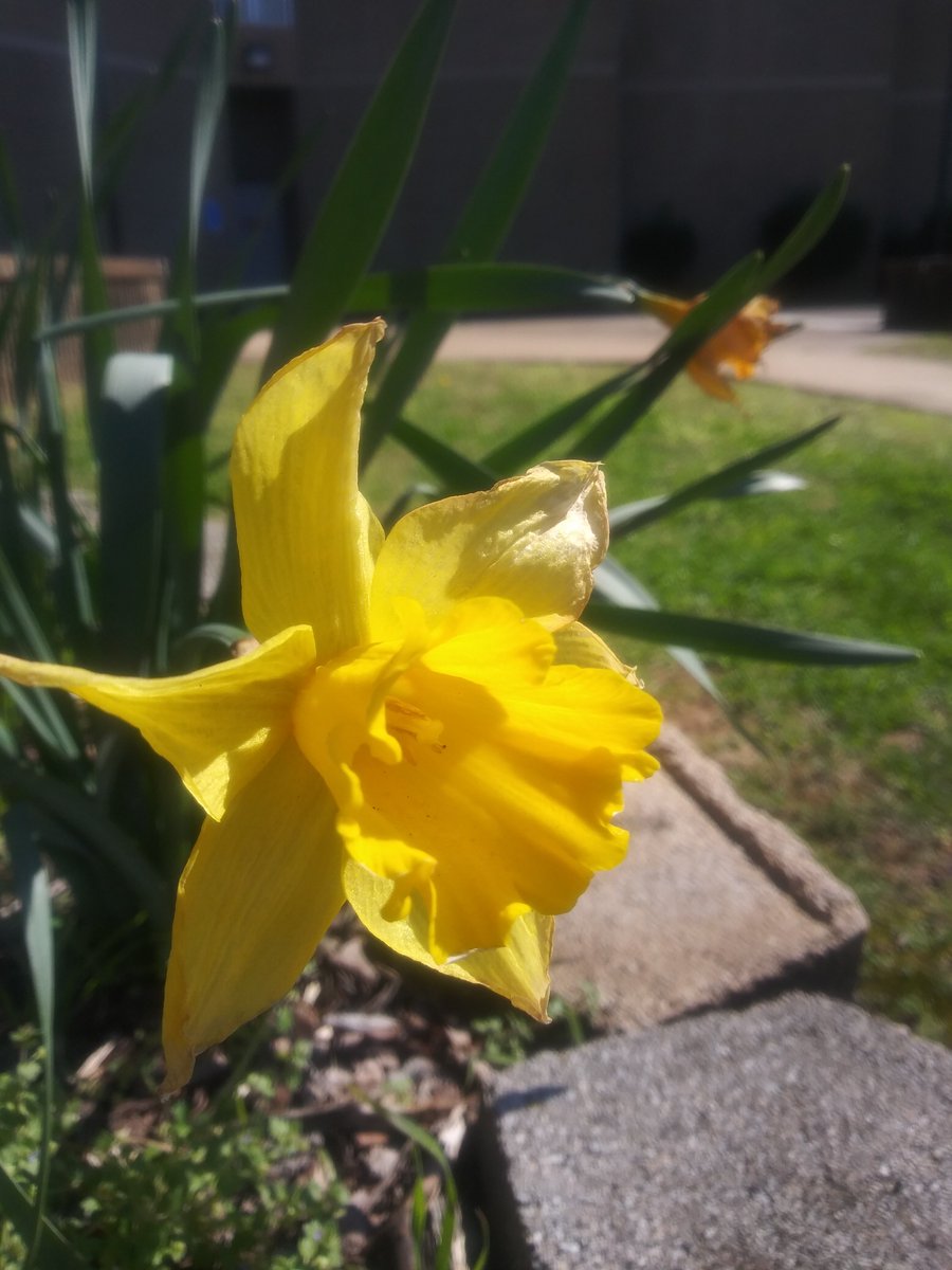 QueenG719's tweet photo. #Spring is here in ChattanoogaTN 🌹🌹🌹🌹🌹🌹🌹🌹🤗🤗🤗🤗🤗😎😎😎👐👐👐😉😉😍😍😇👏❤❤❤ #mondaythoughts #HappyMonday #haveanAwesomeweek y'all Stay Blessed ✌🤗🌹😎💓💜💖👏😇👼👐 https://t.co/CkBaGaCQnG