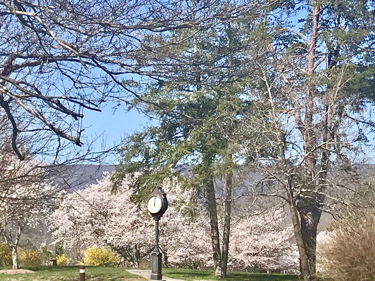leggma's tweet photo. #welcomespring @BryanCollege https://t.co/dA2eVk1AiC