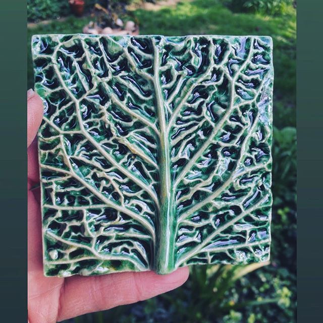 Cabbage tile #mondaymotivation #greenbeautyrevolution 
#greens ift.tt/2HDGC9z