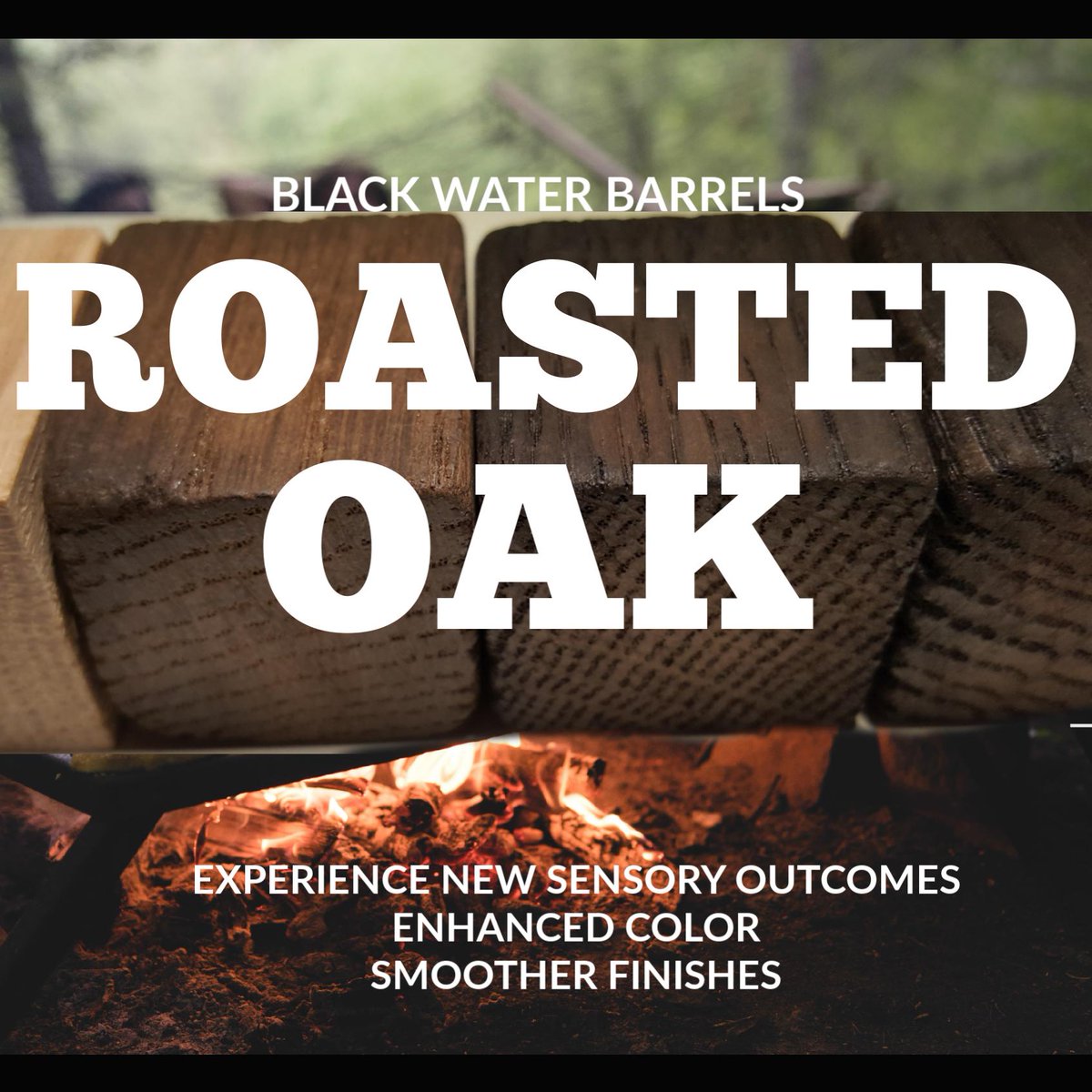 BWBarrels_'s tweet photo. Get Roasted.  #Stavers https://t.co/VpMakeIGdu